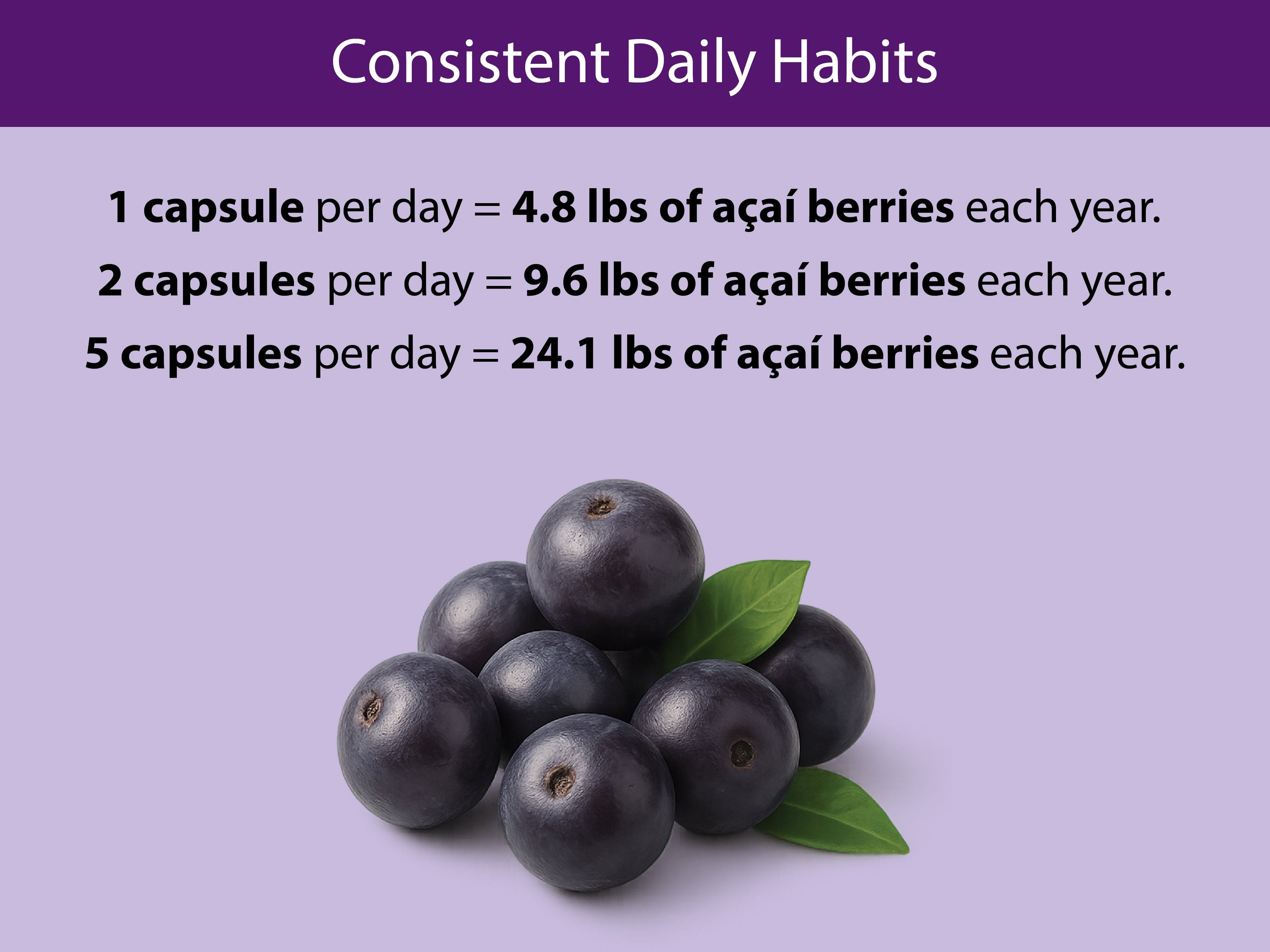 Organic Acai Capsules