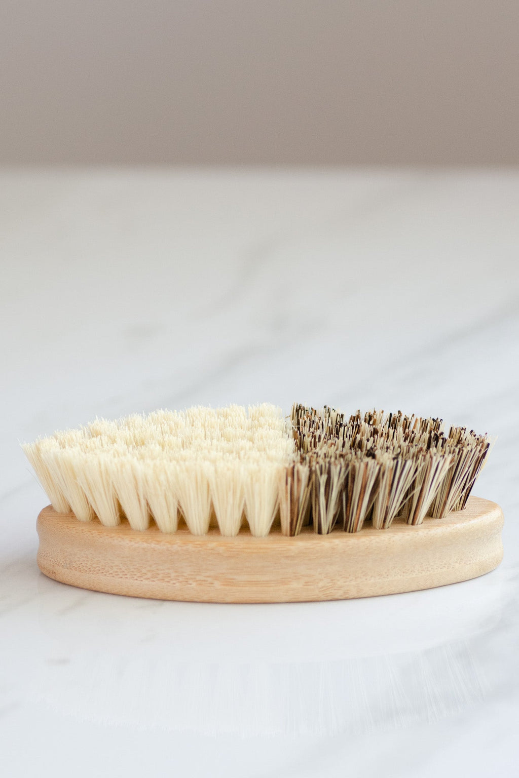 CASA AGAVE® Duo Tone Vegetable Brush | General Cleaning - No Tox Life®
