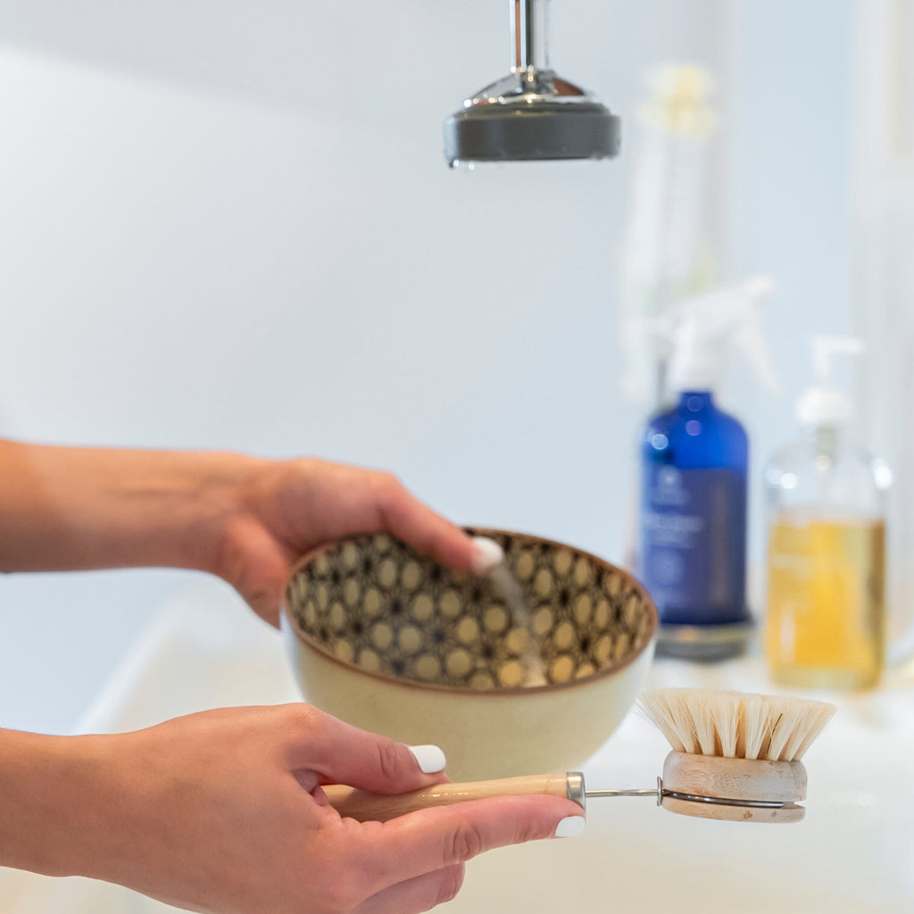 Fillaree Clean Plate Club - Dish Soap