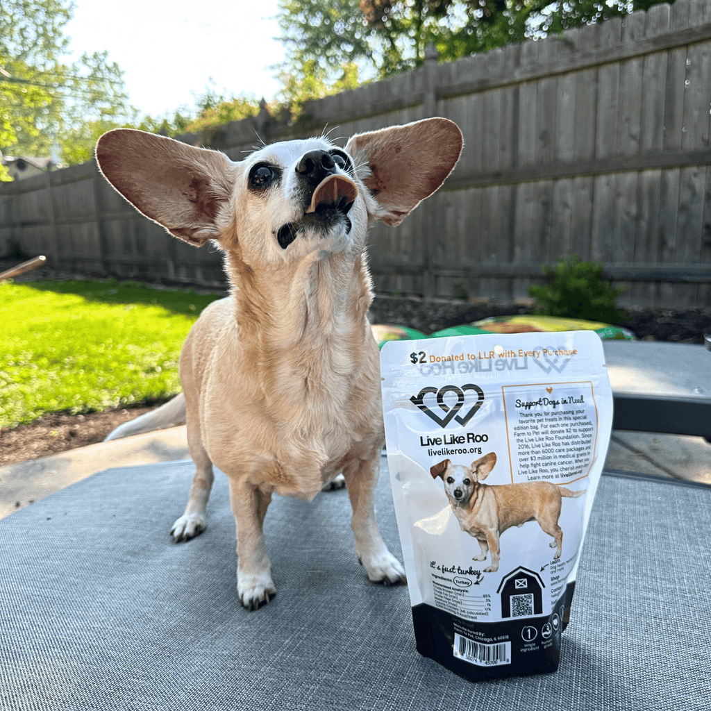 Live Like Roo Turkey Chips for Dogs