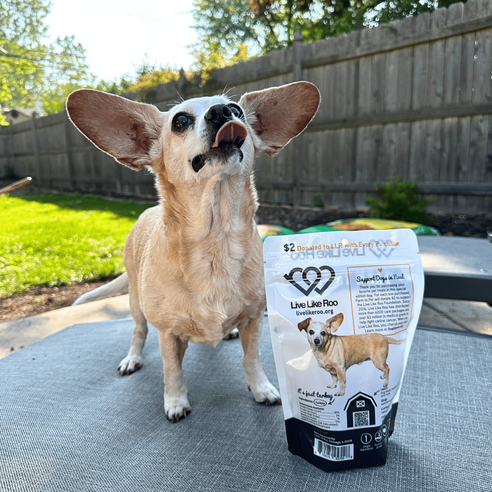 Live Like Roo Turkey Chips for Dogs