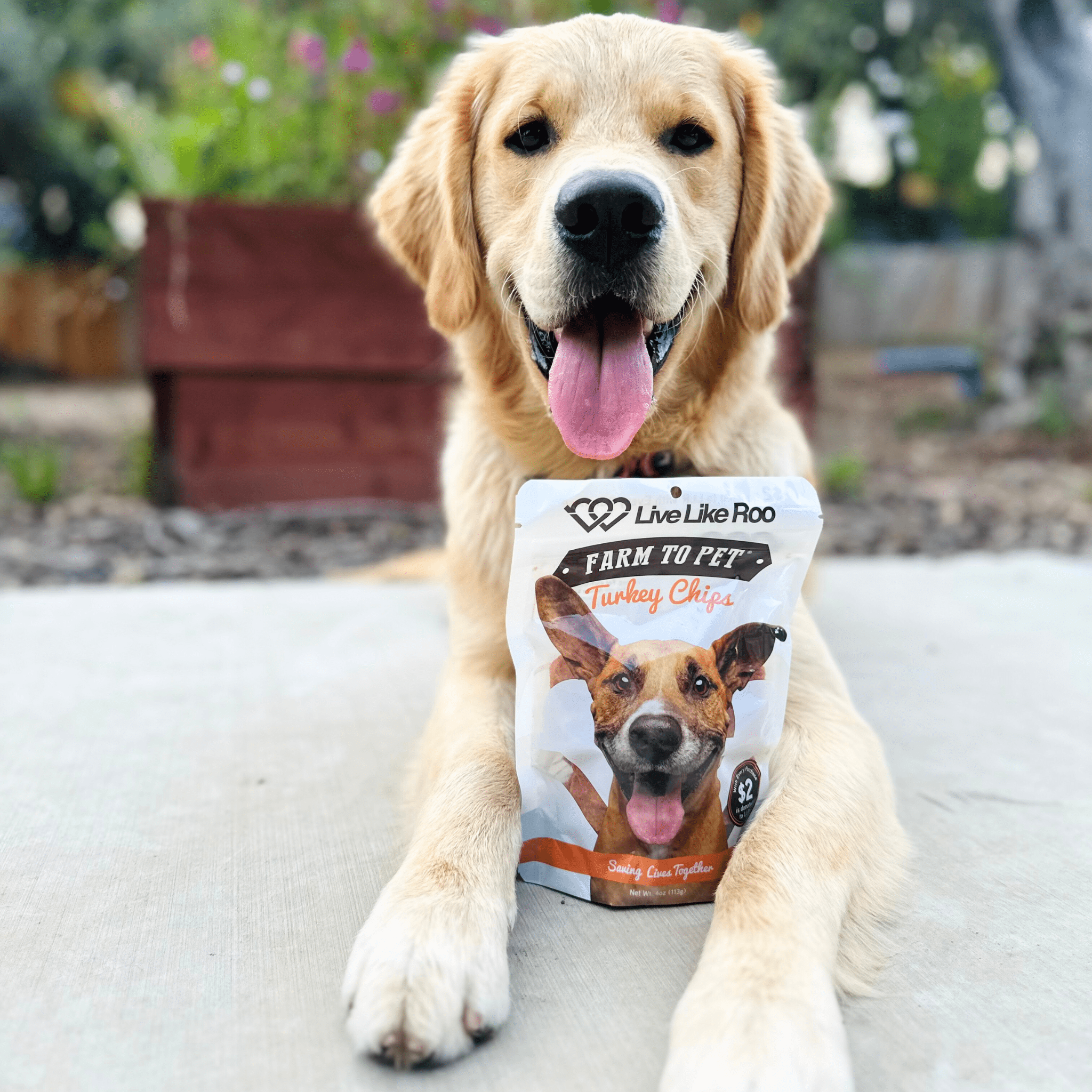 Live Like Roo Turkey Chips for Dogs