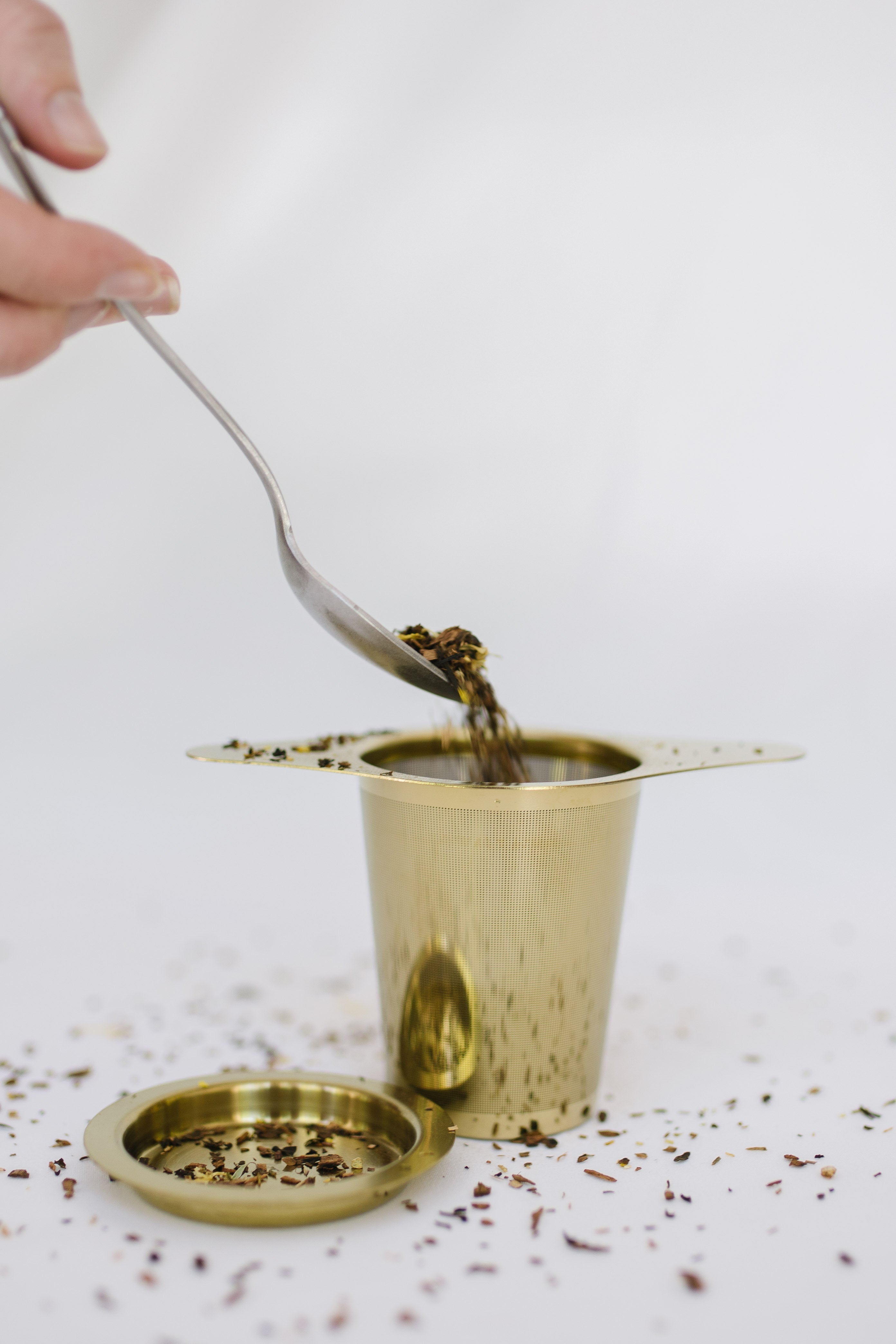 Loose Leaf Tea Infuser- Stainless Steel