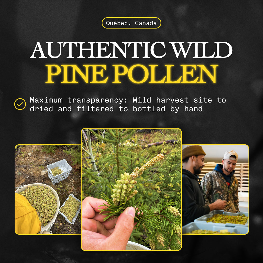 BASED Pine Pollen