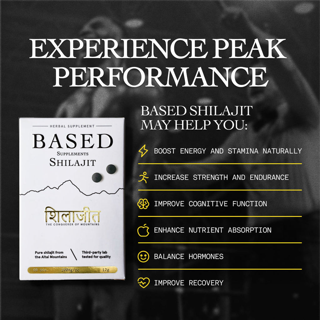 BASED Shilajit Tablets