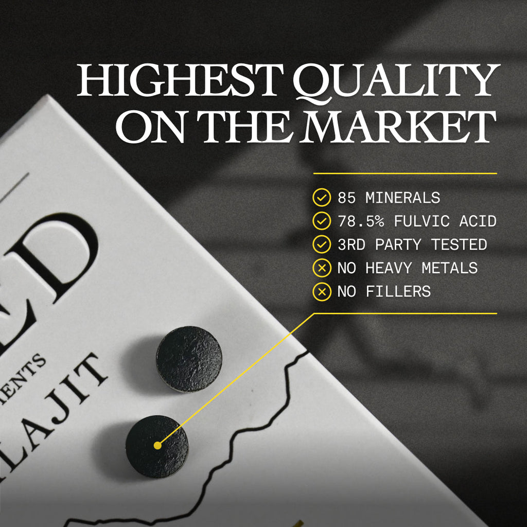 BASED Shilajit Tablets