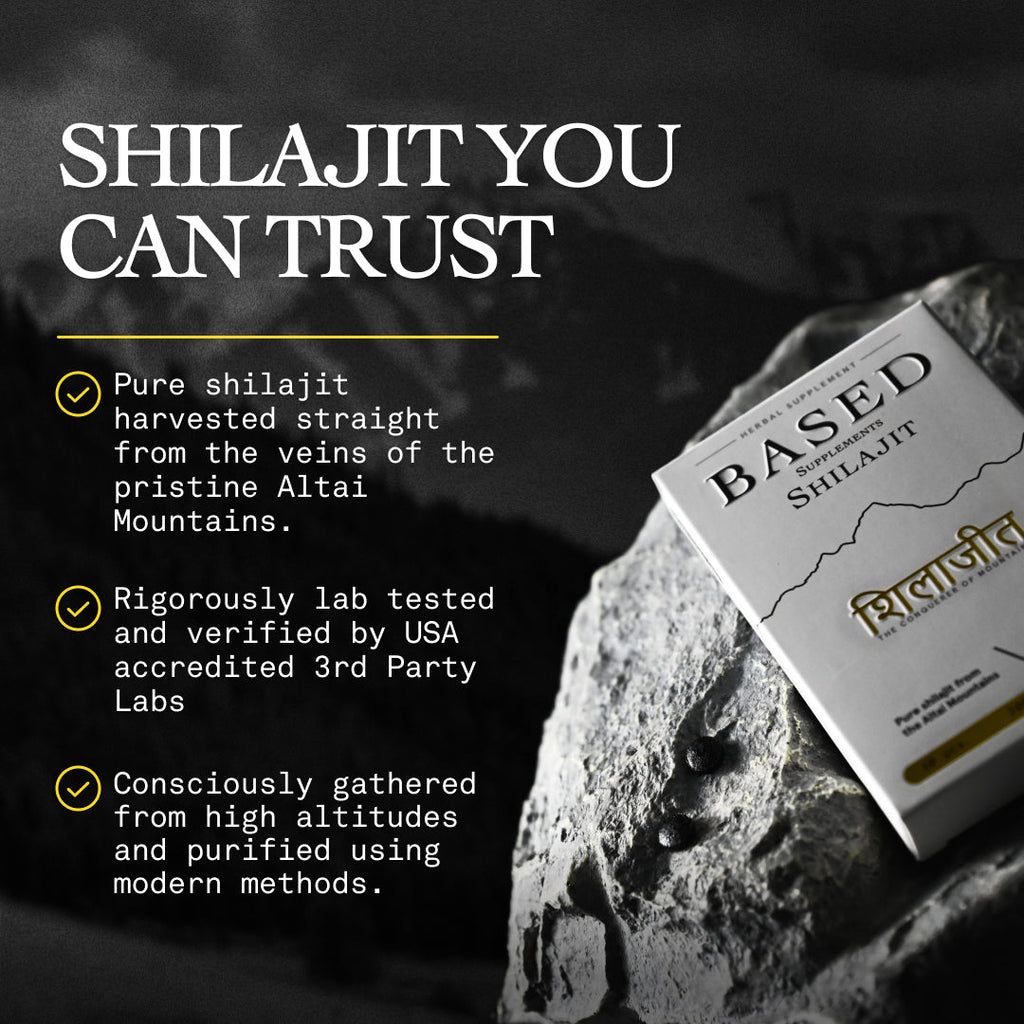 BASED Shilajit Tablets