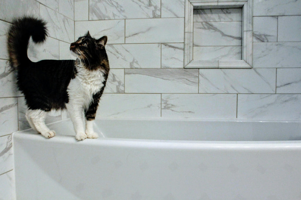Pet Conditioner | Detangling & Softening | Unscented