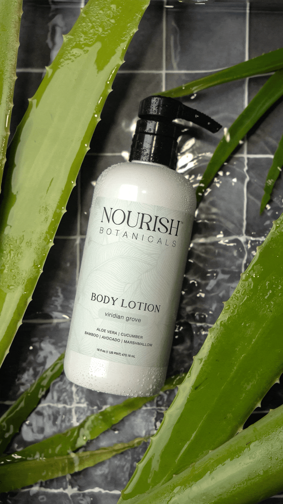Aloe Vera Body Lotion | Viridian Grove