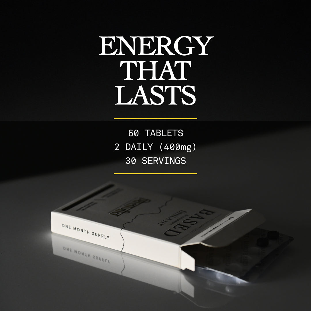 BASED Shilajit Tablets