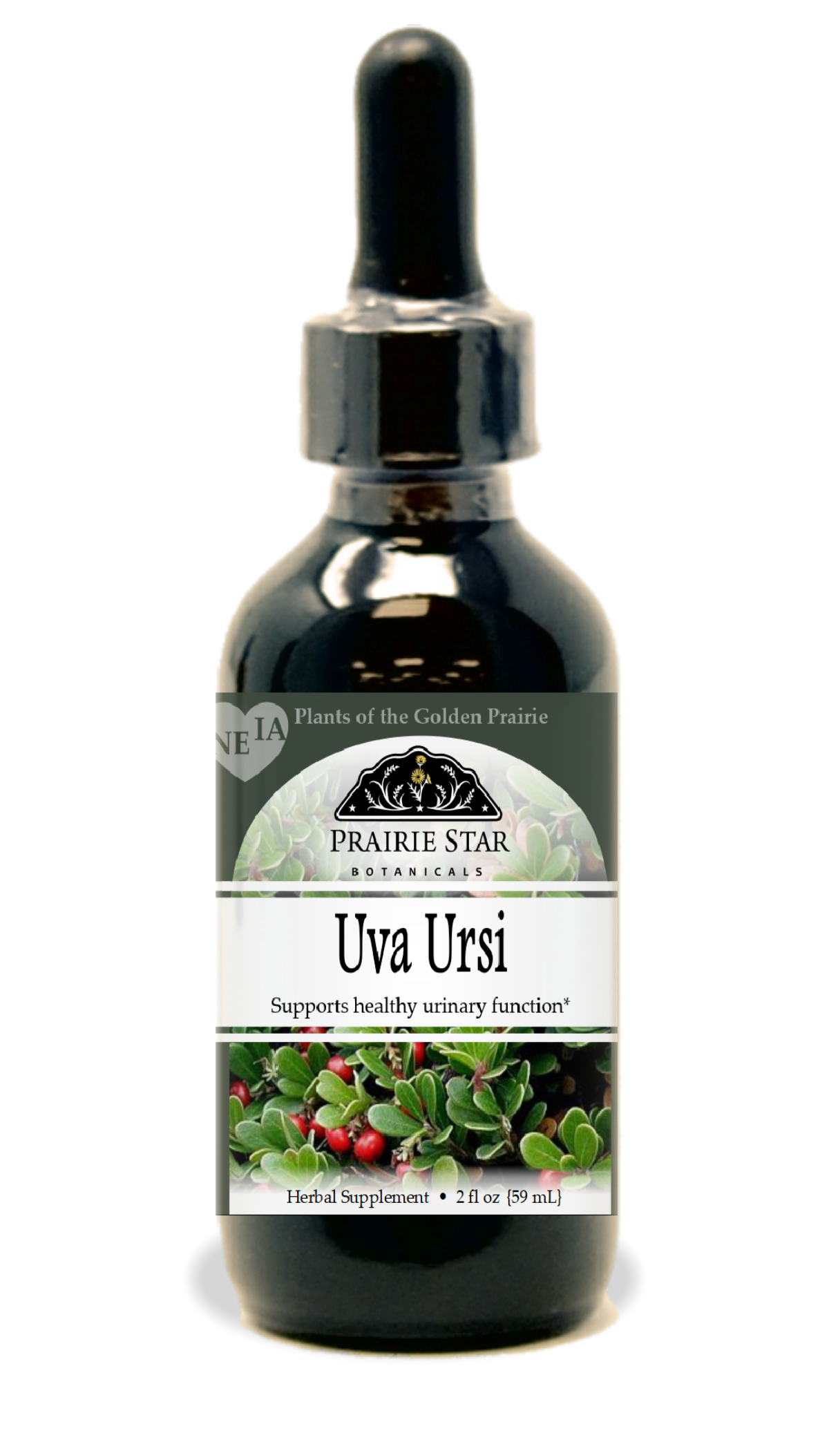 Uva Ursi Herbal Support