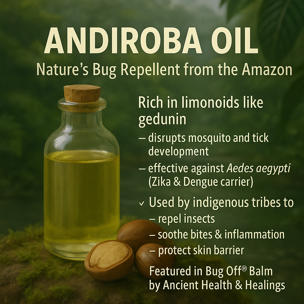 Outdoor Tallow Bundle: Sun & Mosquito Protection