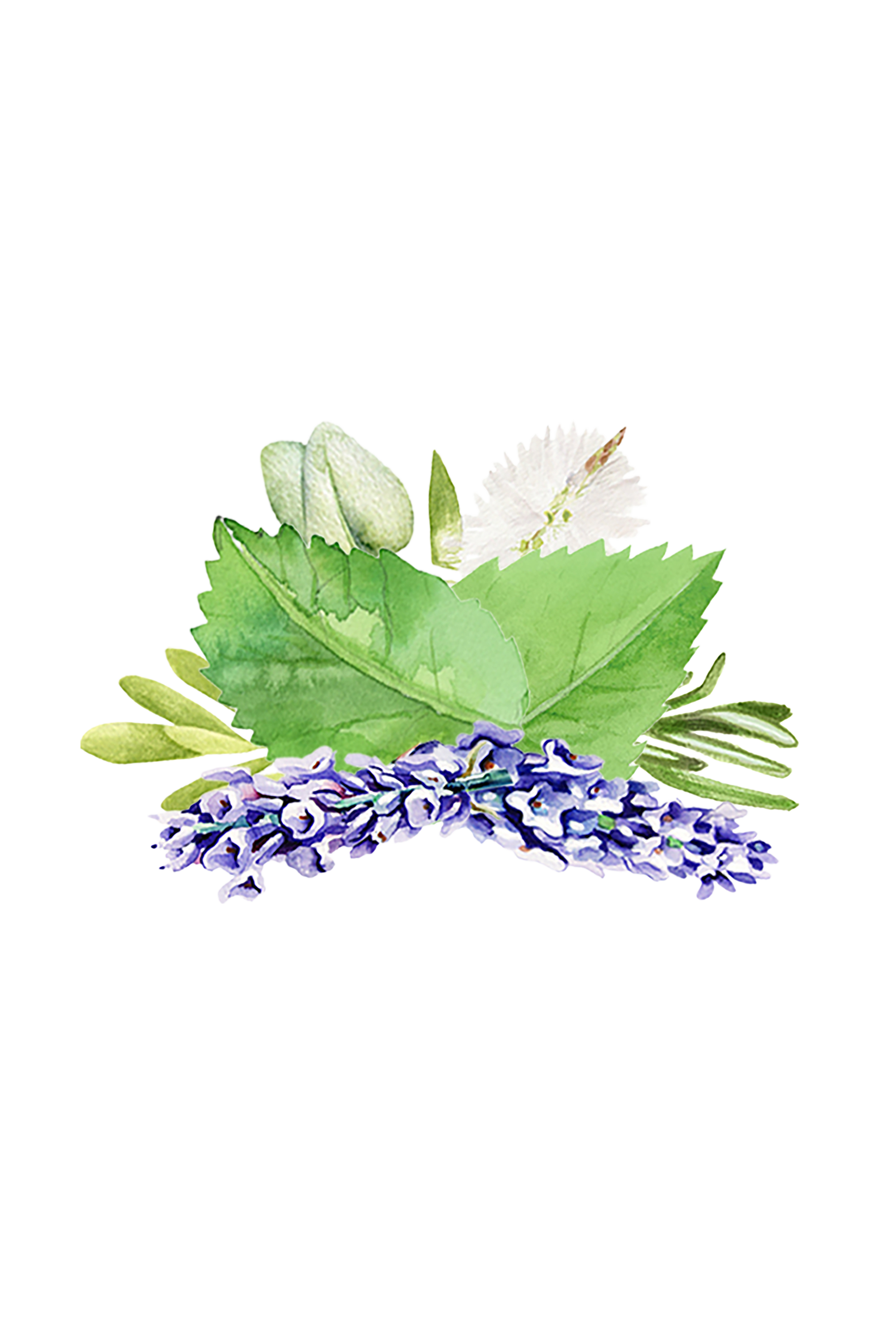 Room Spray | Aromatherapy Blend