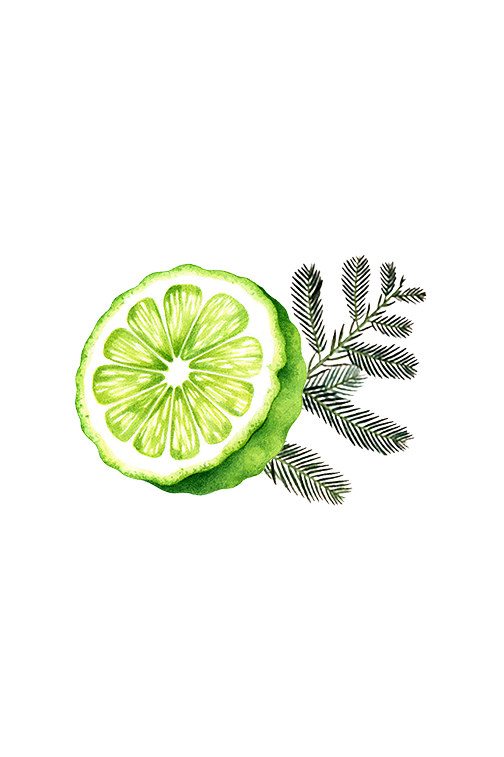 Lots of Purpose Spray Cleaner | Bergamot & Cypress