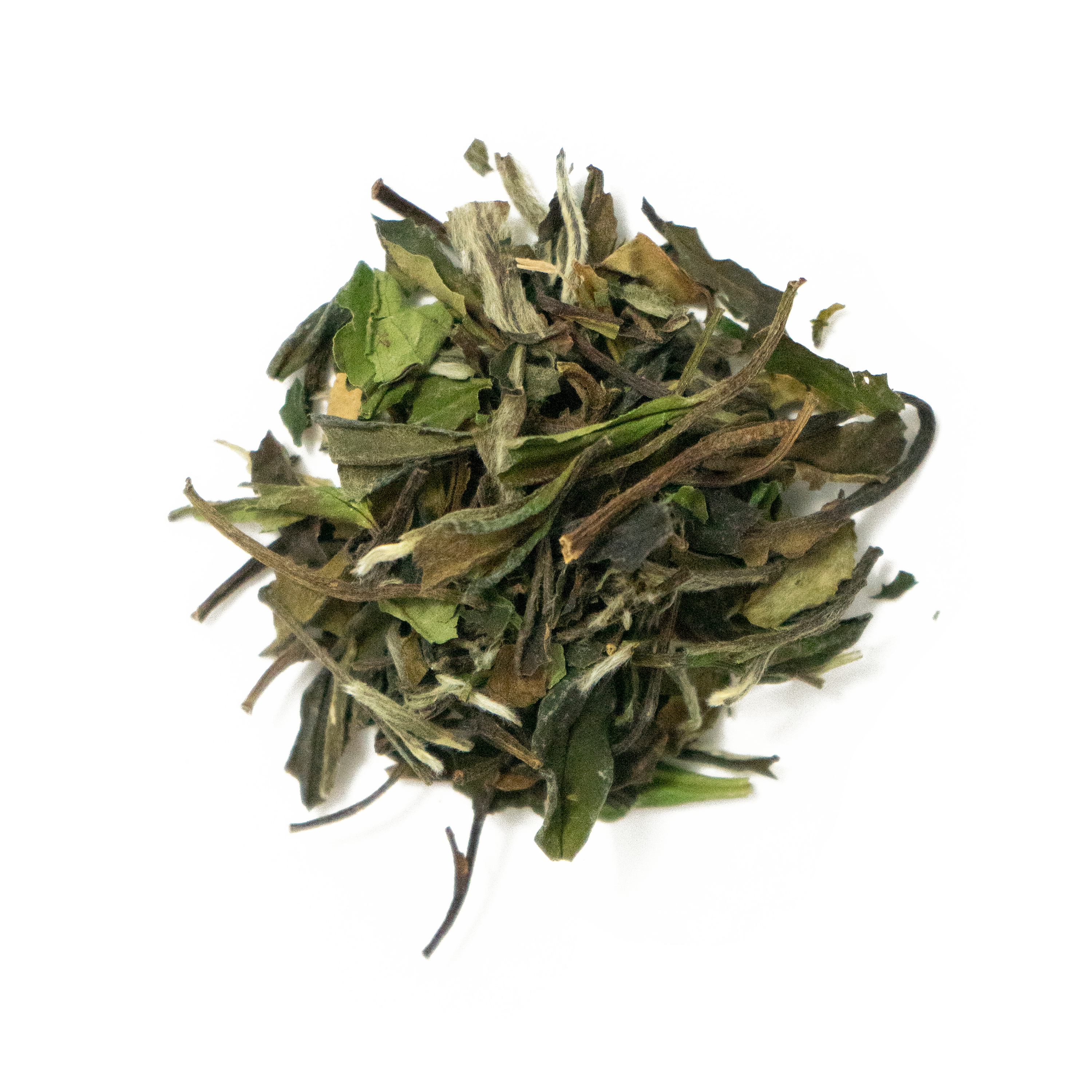 White Peony White Tea